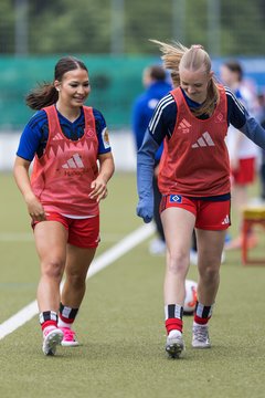 Bild 263 - wBJ Hamburger SV - FC Suederelbe : Ergebnis: 9:0